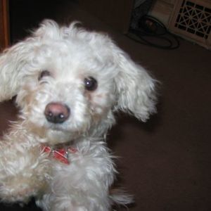 Meet your Posher, Kathy